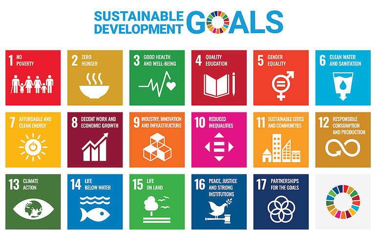 17 sustainable development goals icons