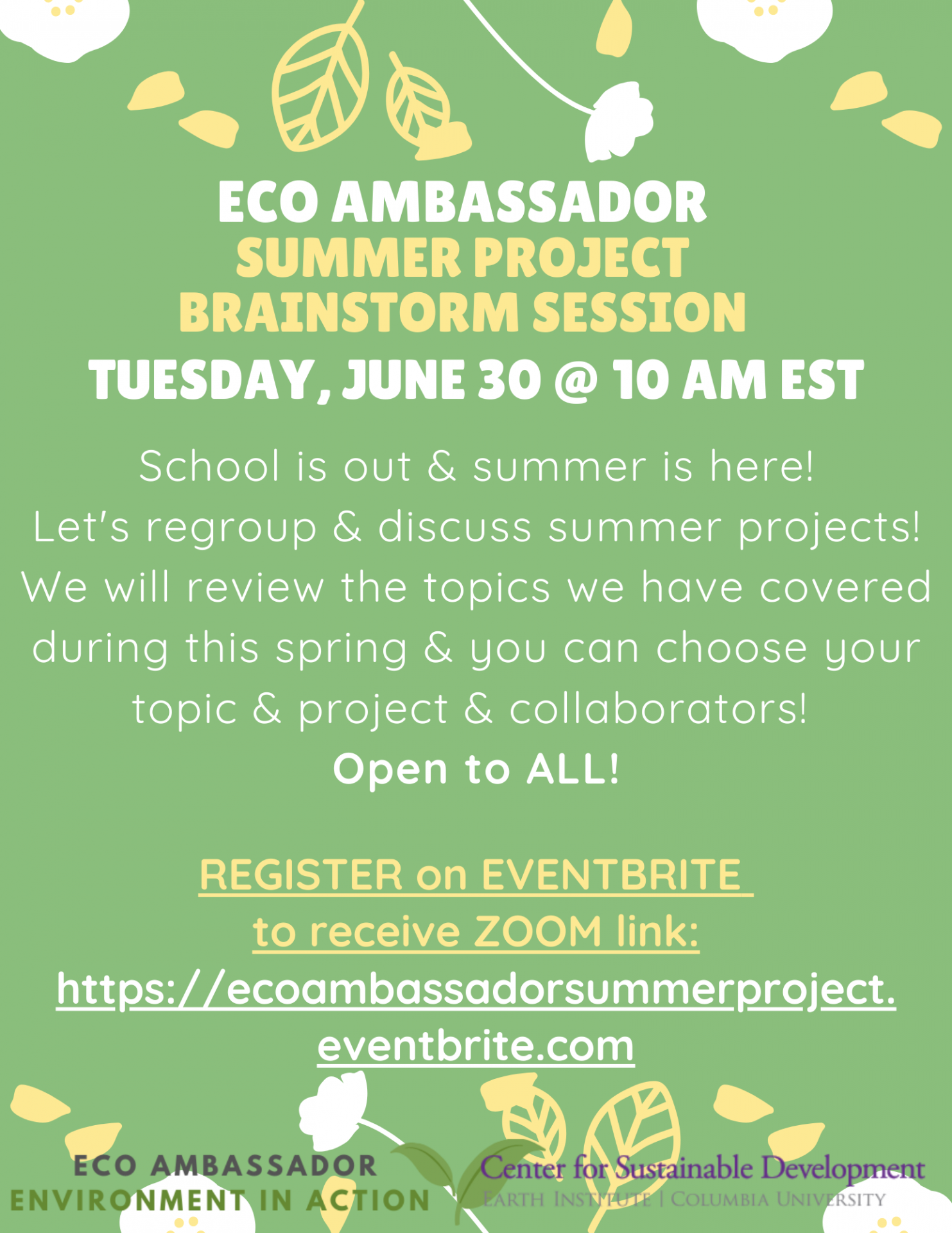Event flyer for summer project brainstorm session